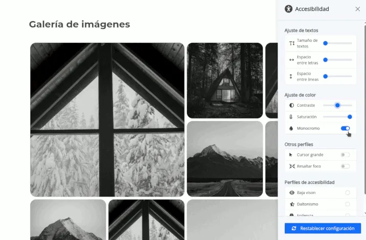 Panel de accesibilidad de una web inuub con opciones de tamaño de texto, contraste y monocromo